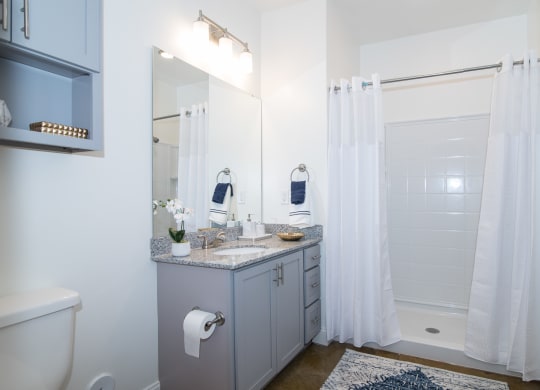 a bathroom with a shower and a sink and a mirror