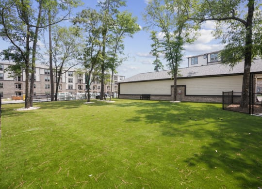 the backyard of a house with a large yard and trees