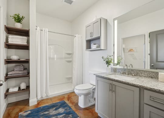 a bathroom with a shower and a sink and a toilet