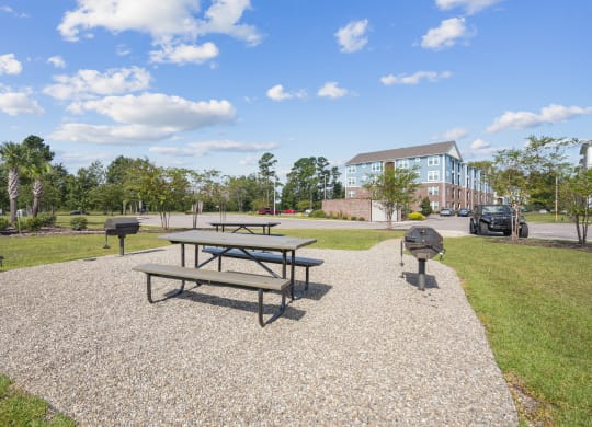 the preserve at ballantyne commons community picnic area with table and grill