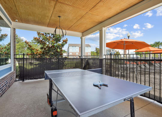 the private patio has a ping pong table and views of the yard