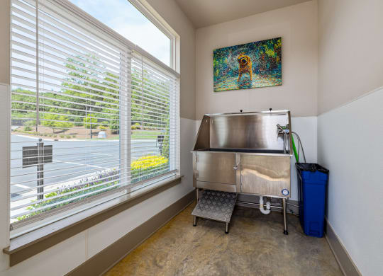 Pet cleaning room
