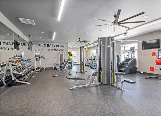 Fitness center with weights and cardio equipment