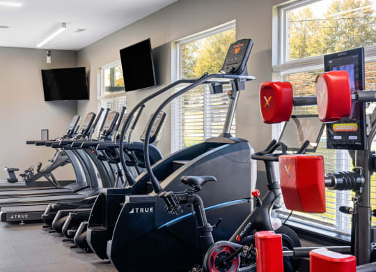 a row of exercise bikes in a gym