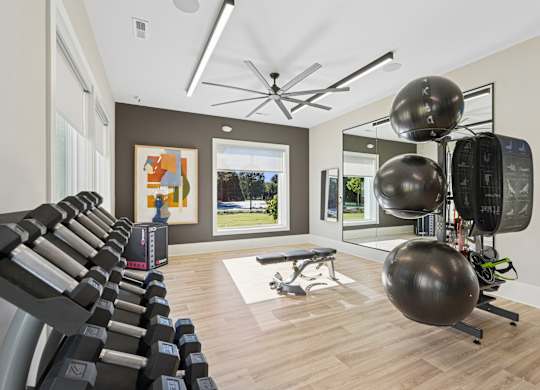 A gym with a row of treadmills, a bench, and exercise balls.