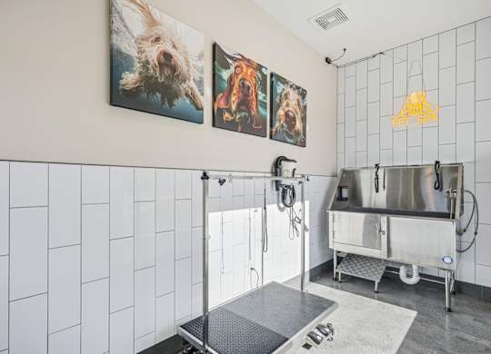 A pet wash room with a sink.