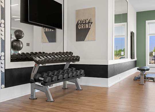 A gym with a bench, weights, and a television.