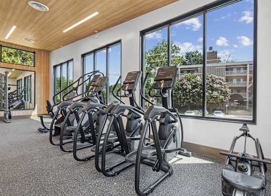 A gym with a row of treadmilers and elliptical machines.