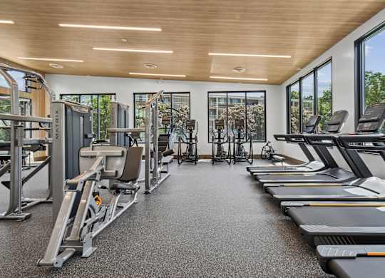 A gym with treadmills, weights, and exercise equipment.