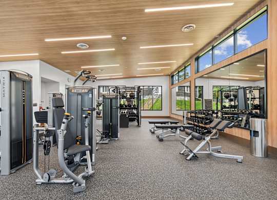 A gym with a variety of equipment including treadmills, weights, and exercise machines.