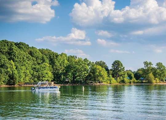 A boat is sailing on a river with a forest in the background.