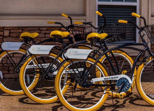 The Ashborough Bike Share Program