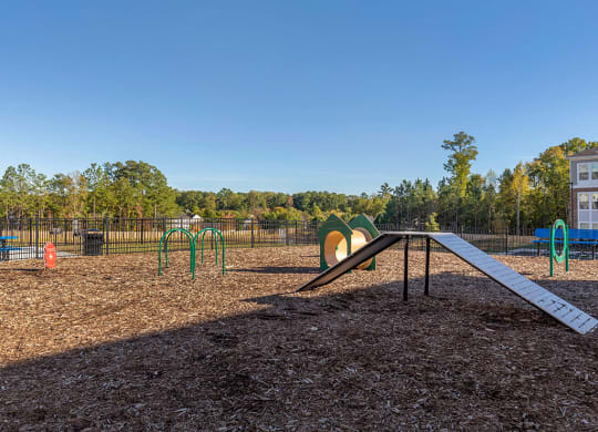 dog park