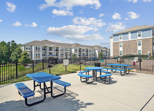 our picnic tables are set up in front of our apartment buildings