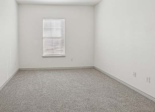A room with a carpeted floor and a window with blinds.
