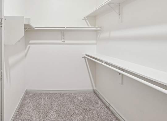 A white closet with a grey carpet.