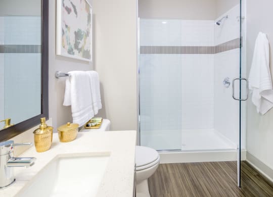 a bathroom with a shower and a sink and a toilet