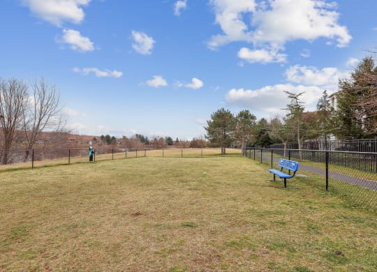 a dog park with a blue bench and a fence
