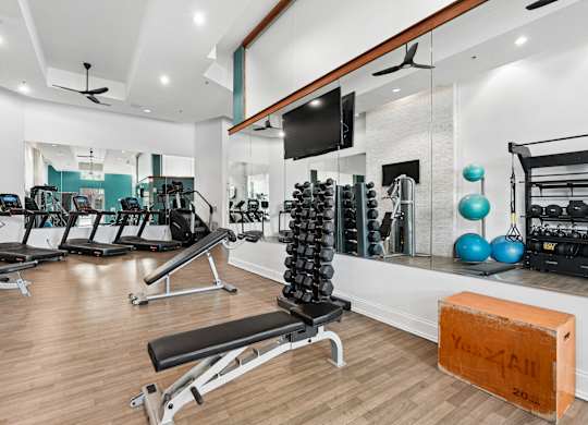 A gym with a variety of equipment including treadmills, weights, and a television.