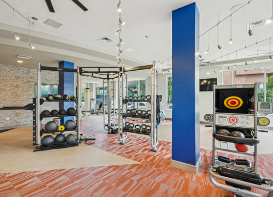 a gym with weights and a punching bag on the floor