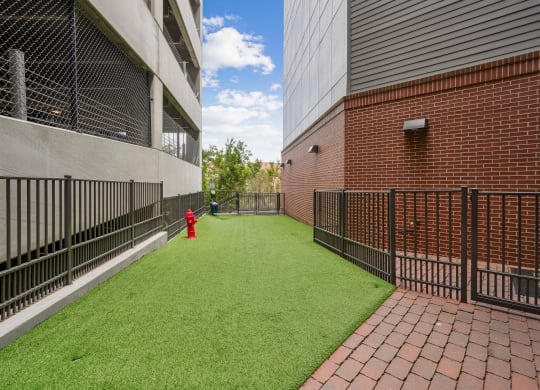 the yard is fenced off with a red fire hydrant