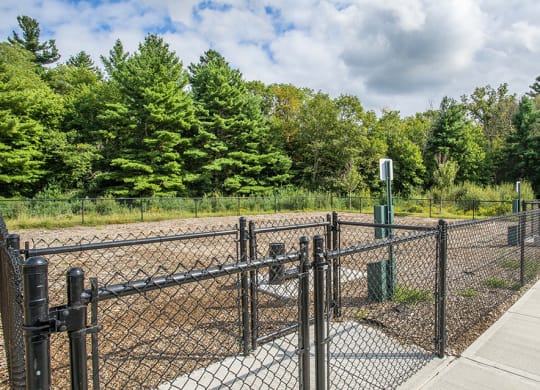 WesterlyatForgePark_Dog Park