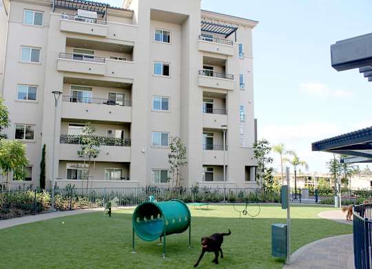 Pet friendly courtyard with dog park and play equipment at Casa Mira View Apartments, San Diego