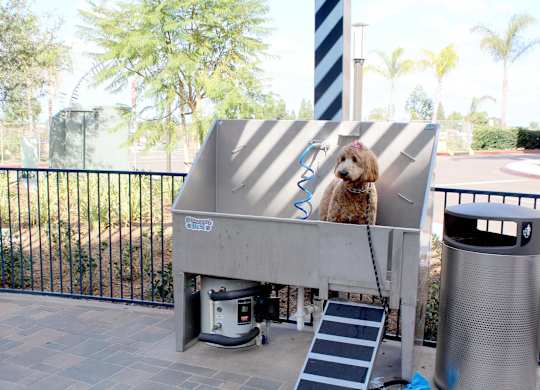 Outdoor dog wash station with ramp and blue hose at Casa Mira View Apartments, San Diego