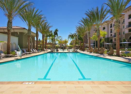 Lap pool with swim lanes and palm trees at Casa Mira View Apartments, San Diego, 92126