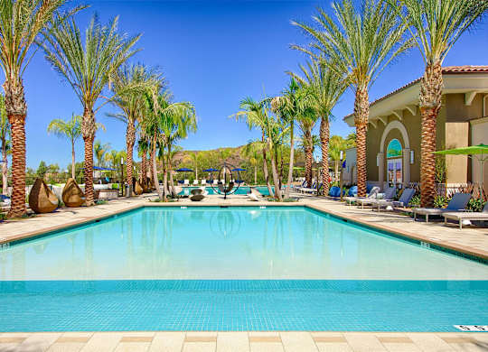 Swimming pool with palm trees and lounge seating at Casa Mira View Apartments, California, 92126