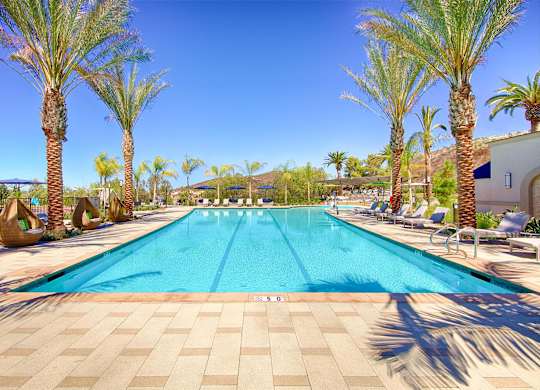 Lap pool with lane markers and palm trees at Casa Mira View Apartments, San Diego, CA