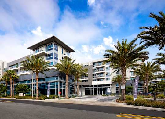 Modern building entrance with palm tree landscaping at Elements Apartments, California