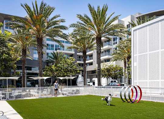 Dog park with artificial turf and play equipment at Elements Apartments, California