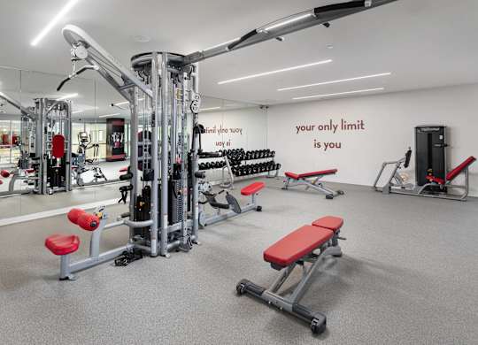 Fitness center with cable machine at LUX by Garden* Apartments, California