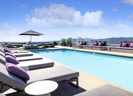 Rooftop pool with loungers and purple accent pillows at LUX by Garden* Apartments, San Diego