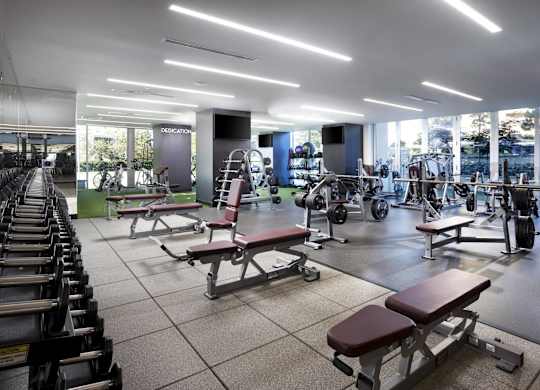 Fitness center with free weights at LUX by Garden* Apartments, San Diego
