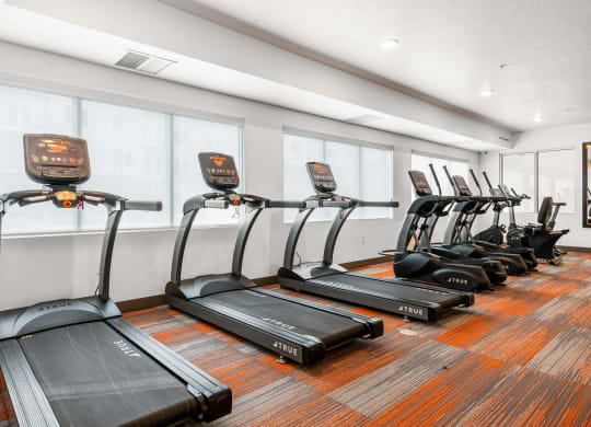 the apartments at masse corner 205 fitness room