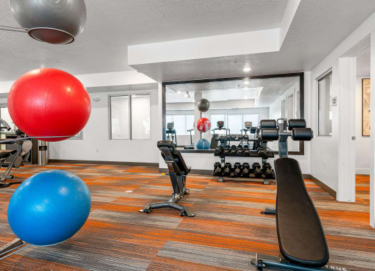 a workout room with weights and other exercise equipment at trillium apartments in fairfax