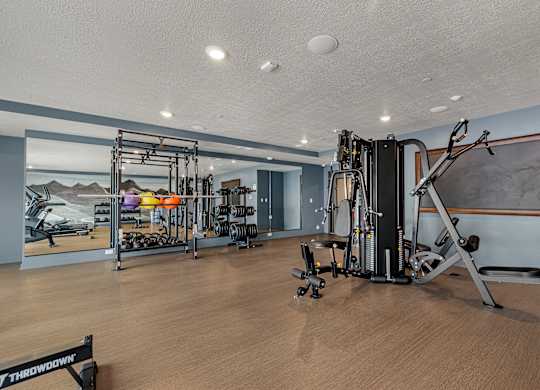 A gym with a variety of equipment including a weight bench, a squat rack, and a treadmill.