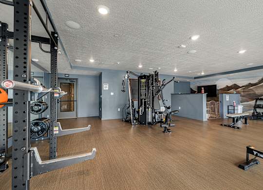 A gym with a variety of equipment including a squat rack, weight bench, and treadmill.