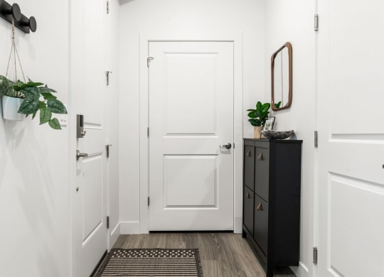 a hallway with a white door and a black dresser with a plant on it
