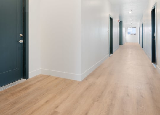 a corridor with white walls and wood floors and black doors