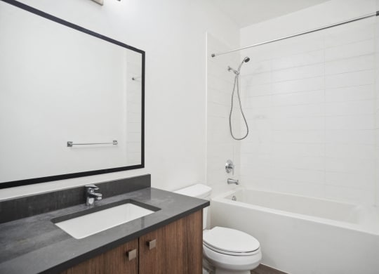 a bathroom with a sink and a toilet and a shower