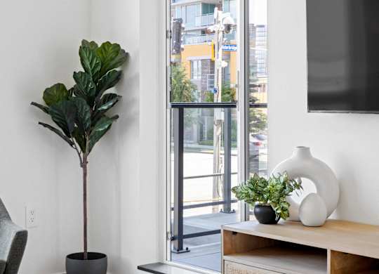 A living room with a tv on the wall and a plant in a pot.