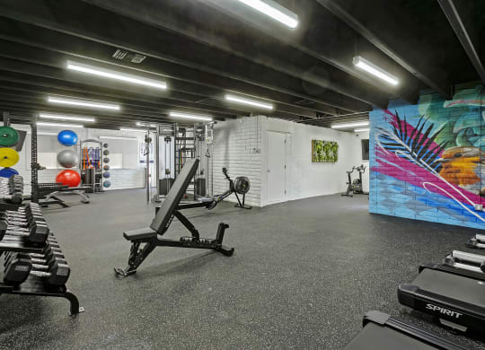 a large fitness room with weights and a wall with a mural of a bird