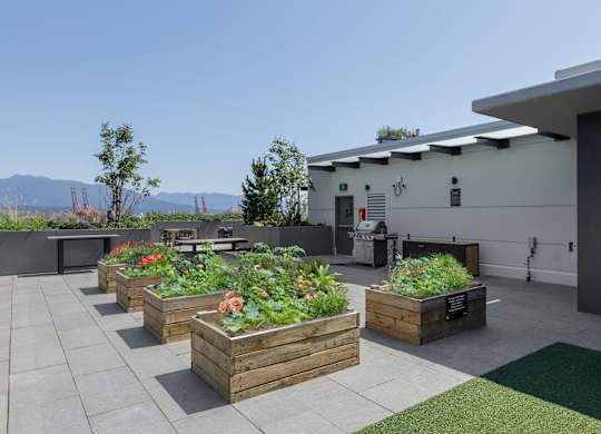 A patio with a table and chairs surrounded by wooden planters.