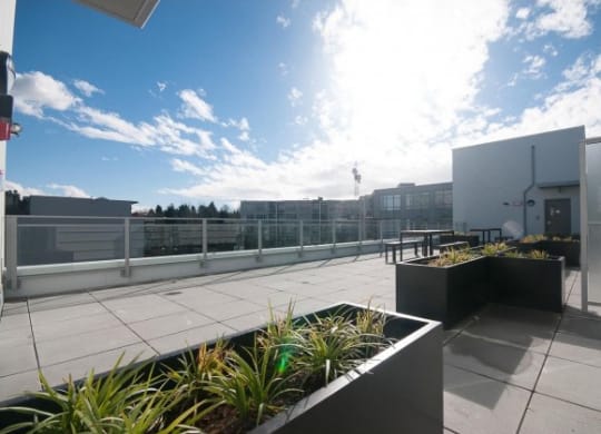 a terrace with a table and plants on a roof