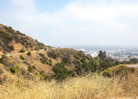 a hill with a view of the city in the distance