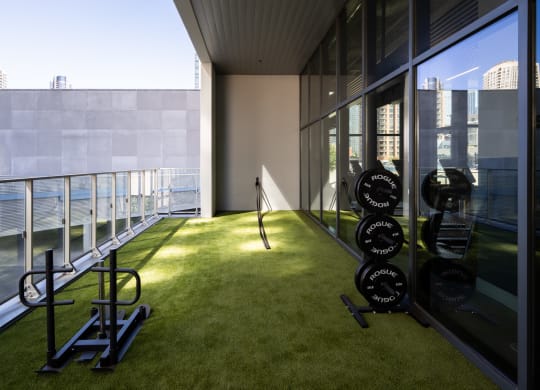 a room with an indoor grassy area and a view of the water