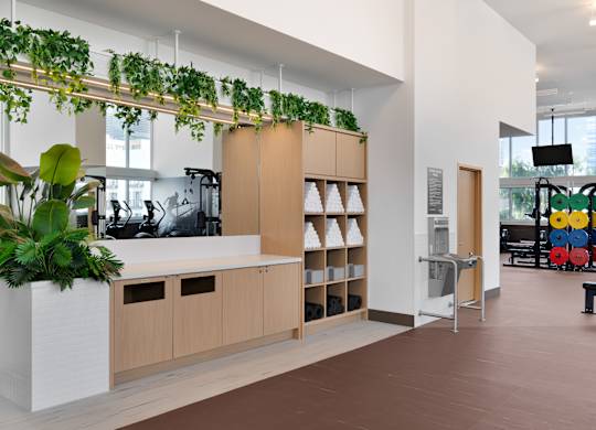 A modern office space with a green plant hanging from the ceiling.